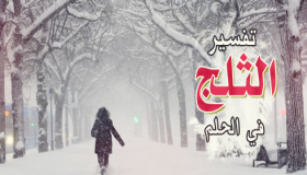 تفسير حلم الثلج بالمنام