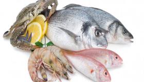 تفسير حلم السمك في المنام