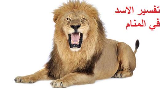 تفسير حلم رؤية الأسد في المنام
