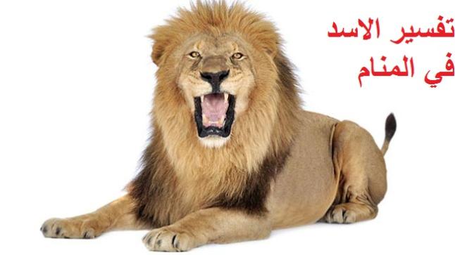 تفسير حلم رؤية الأسد في المنام