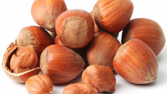 تفسير رؤية حلم البندق في المنام