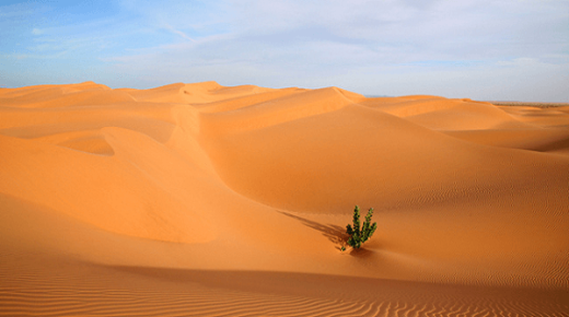 تفسير حلم رؤية الجلوس على الرمال