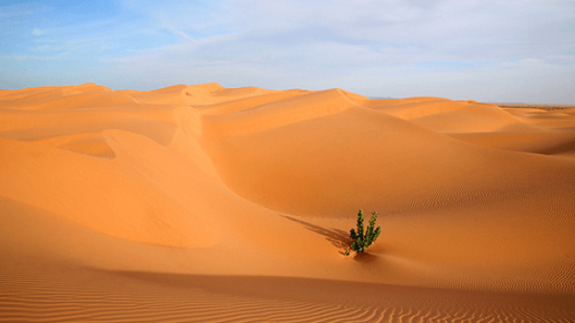 تفسير حلم رؤية الجلوس على الرمال