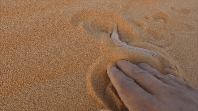 تفسير حلم رؤية الرمال الناعمة في المنام