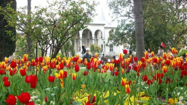 تفسير حلم رؤية البستان في المنام