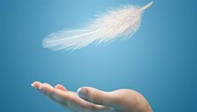 تفسير رؤية الريش في المنام بالتفصيل