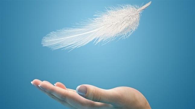 تفسير رؤية الريش في المنام بالتفصيل