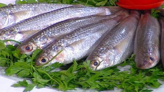 تفسير حلم الفسيخ في المنام