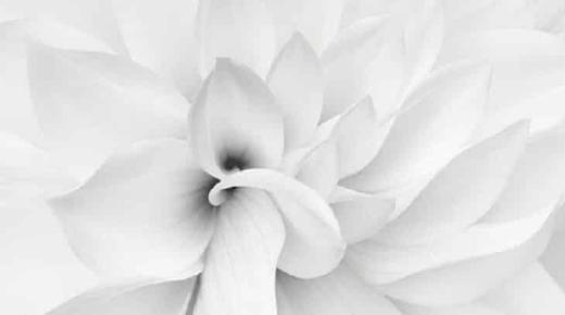 تفسير حلم رؤية بياض اللون في المنام