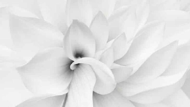 تفسير حلم رؤية بياض اللون في المنام