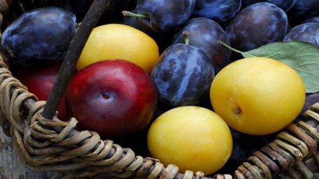 تفسير رؤية حلم البرقوق في المنام