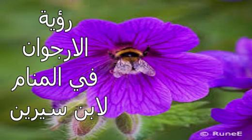 تفسير رؤية الأرجوان في المنام بالتفاصيل