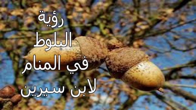 تفسير رؤية البلوط في المنام لابن سيرين