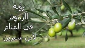 تفسير رؤية الزيتون في المنام لابن سيرين