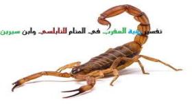 تفسير رؤية العقرب في المنام للنابلسي