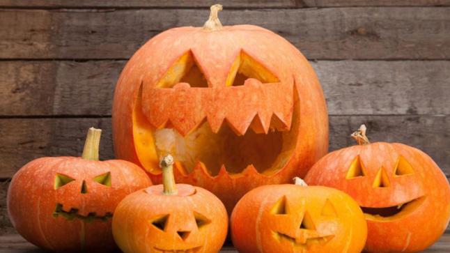 تفسير رؤية القرع في المنام لابن سيرين والنابلسي