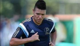 مجلس ادارة فريق النصر السعودي تتعاقد مع البرازيلي جابرييل ماركينيوس ؟