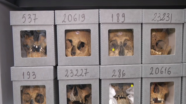 18 ألف جمجمة لجزائريين موجودة في متحف الإنسان في باريس