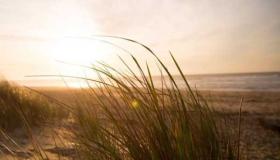 دعاء الريح والمطر والعواصف | ادعية الريح اذا هاجت قصيرة ومستجابة الدعاء