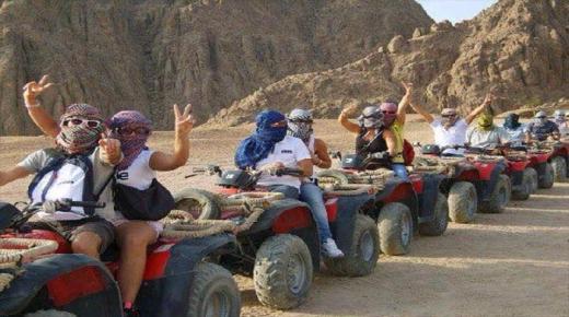 كيفية مواجهة الحيوانات المفترسة في صورة مواجهتها في رحلة سافاري