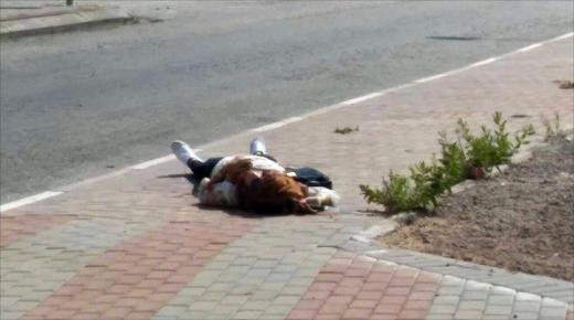 مقتل فتاة فلسطينية برصاص الجيش الإسرائيلي في نابلس وإحتجاز جثتها