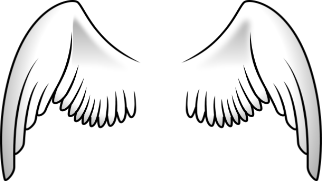 تفسير رؤية الأجنحة في المنام لابن سيرين