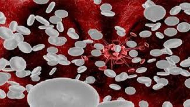 علاج نقص كريات الدم البيضاء بالغذاء