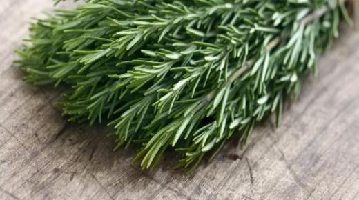 فوائد إكليل الجبل للشعر والبشرة