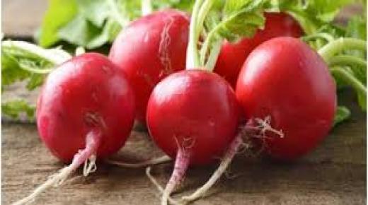 فوائد الفجل الأحمر