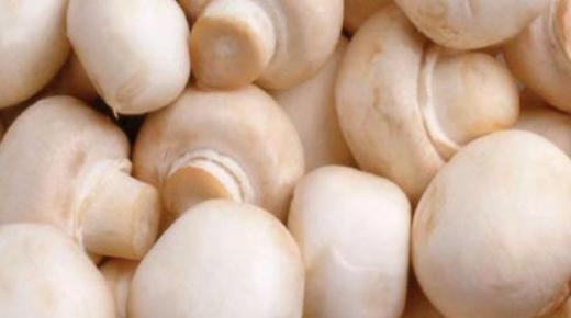 فوائد الفطر الهندي للصحة العامة والبشرة