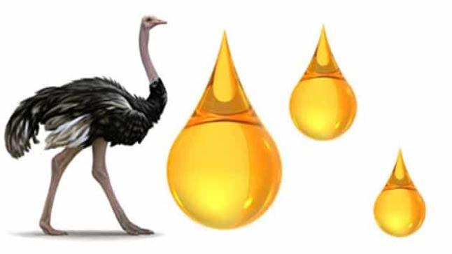 فوائد دهن النعام