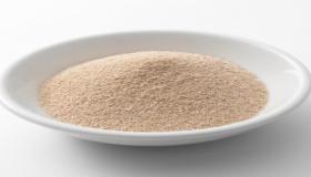 فوائد وأضرار الخميرة