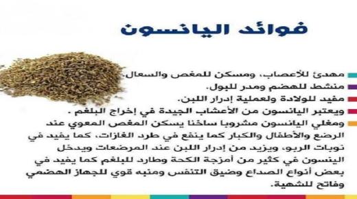 فوائد اليانسون