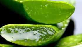 فوائد هلام الصبار للبشرة