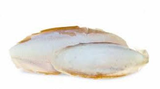 لسان البحر وفوائده