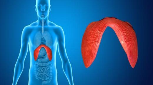 شلل الحجاب الحاجز وأسبابه