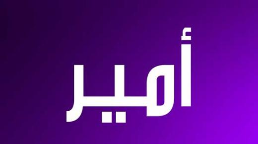 معنى اسم أمير الدين