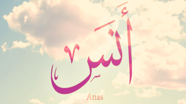 معنى اسم أنس وأصله