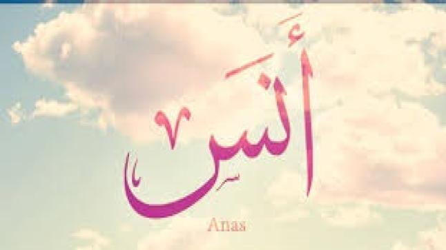 معنى اسم أنيس وصفات حامله