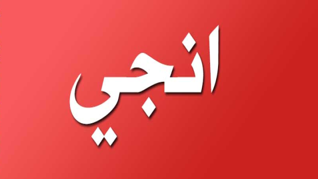 معنى اسم انجي في اللغة