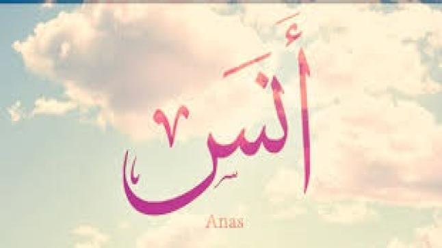 معنى اسم انس وحكم تسميته