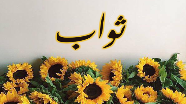 معنى اسم ثواب في اللغة العربية