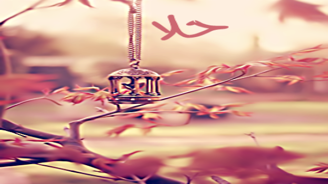 معنى اسم حلا وصفات حاملته