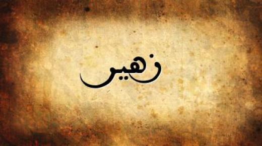 معنى اسم زهير في اللغة العربية