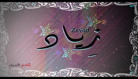 معنى اسم زياد في القاموس وصفات صاحبه وهل تسمية زياد حلال أم حرام