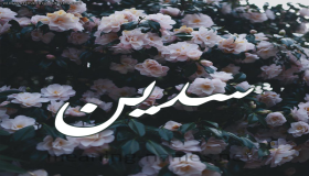 معنى اسم سدين