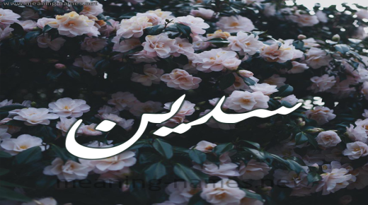 معنى اسم سدين