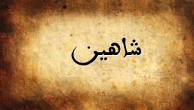 معنى اسم شاهين في اللغة العربية