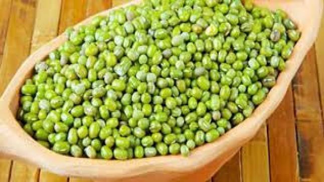 نبتة الماش ماهيتها فوائدها وأضرارها