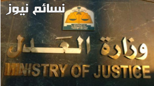 تعرف على صندوق النفقة .. المهام وآلية الإستحقاق والصرف بعد الموافقة على تنظيمه من مجلس الوزراء